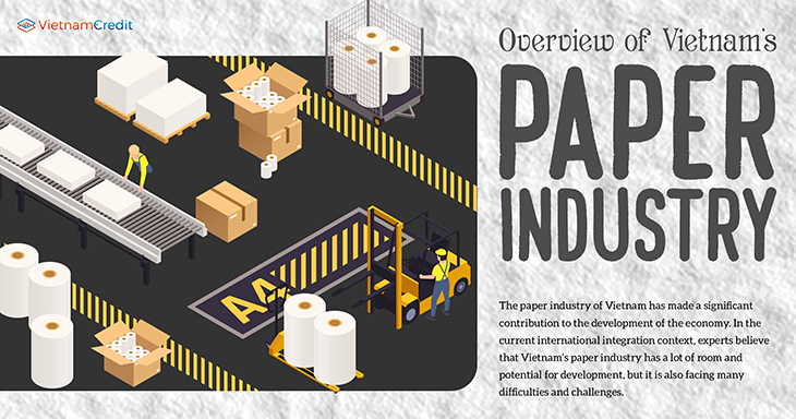 Overview of Vietnam’s paper industry